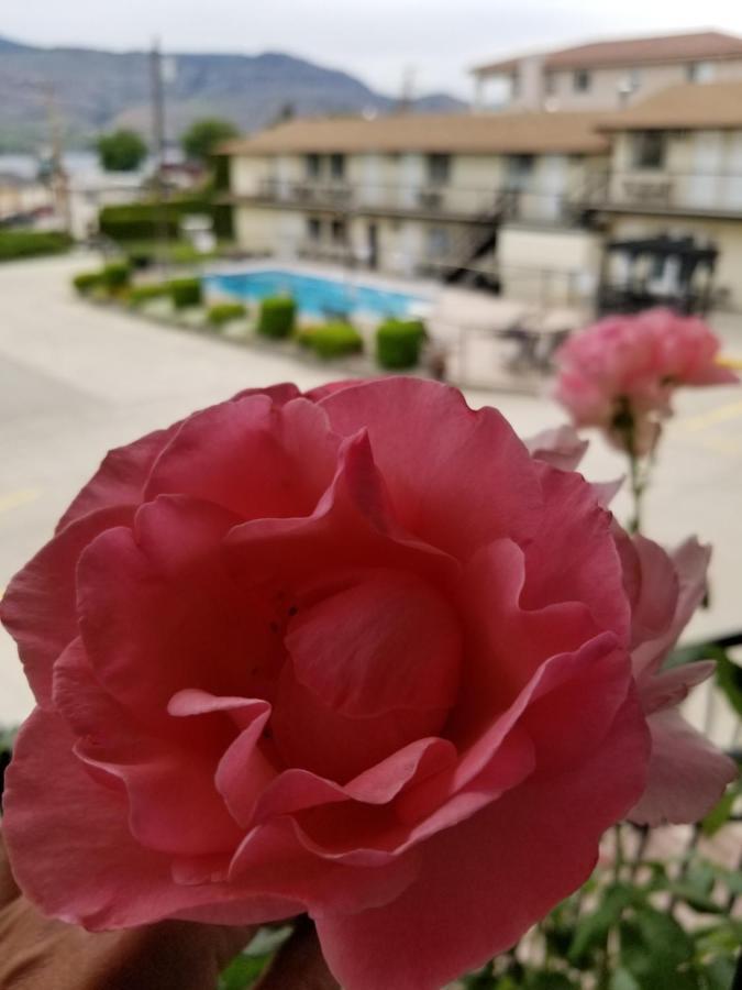 Osoyoos Lakeview Inn & Suites Eksteriør bilde